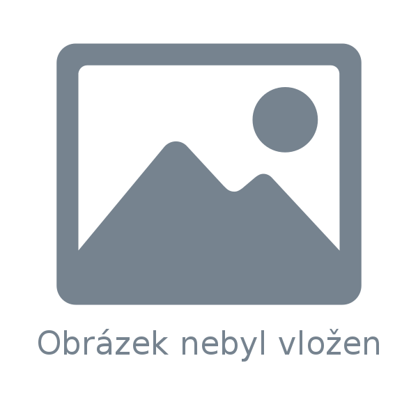 Online kongres SES Online kongres SES